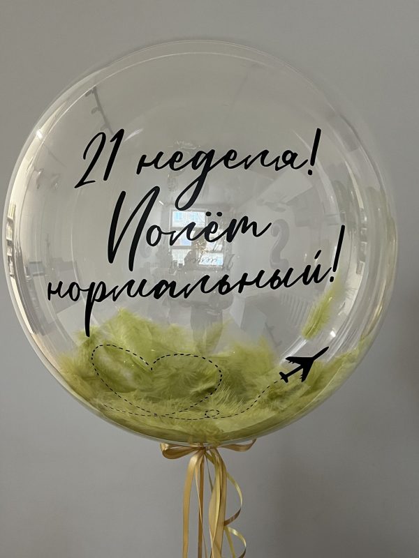 Шар «Полёт нормальный»