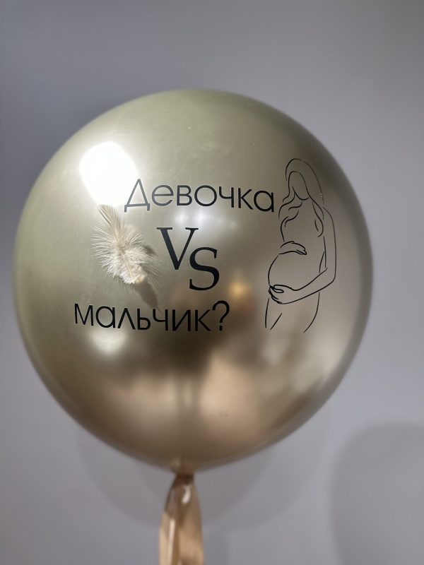Шар-сюрприз «Кто ты, малыш?»