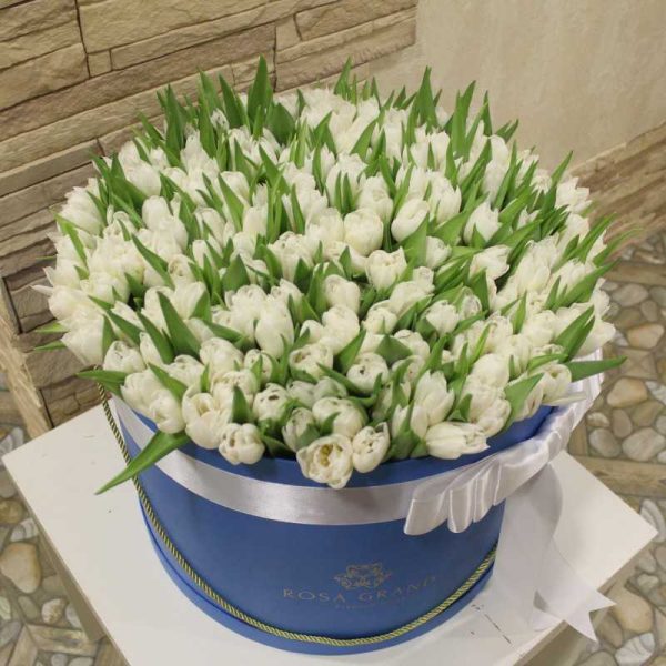 Белые Голландские тюльпаны в коробке