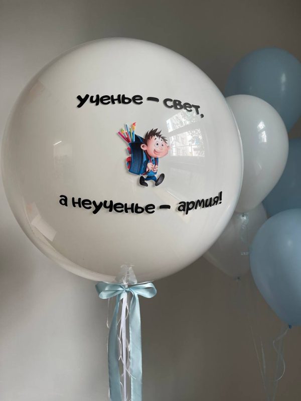 Сет «Неученье - армия»