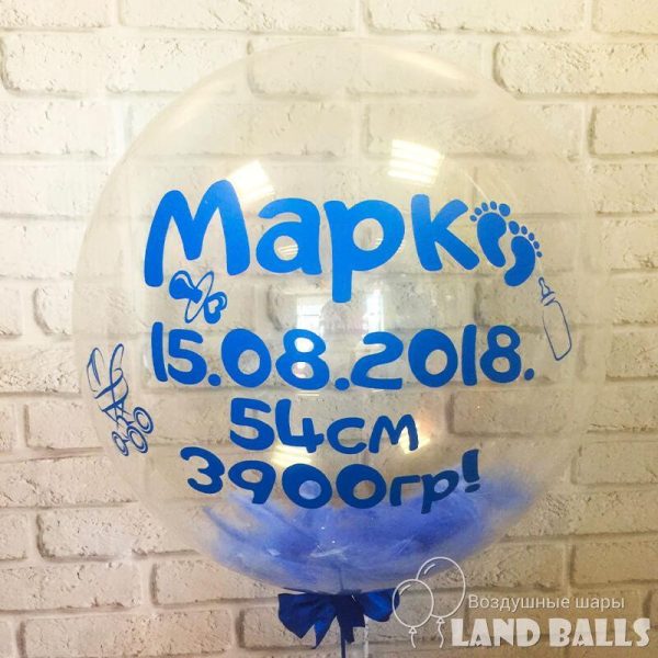 Шар «Bubbles» прозрачный 60 см с любой Вашей надписью и любыми перьями внутри